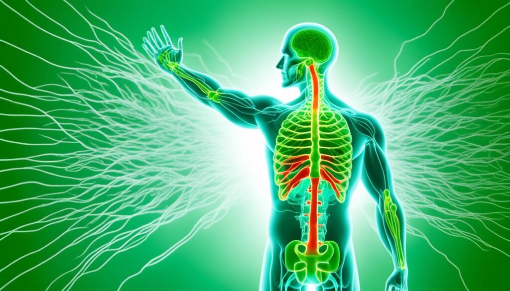 EMF Radiation and Oxidative Stress